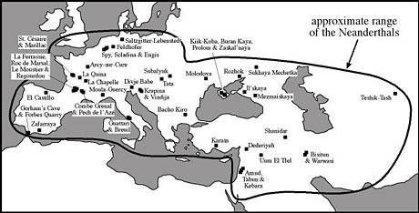 Homo neanderthalensis Z Homo antecessor vyvinul nový druh Homo heidelbergensis, který