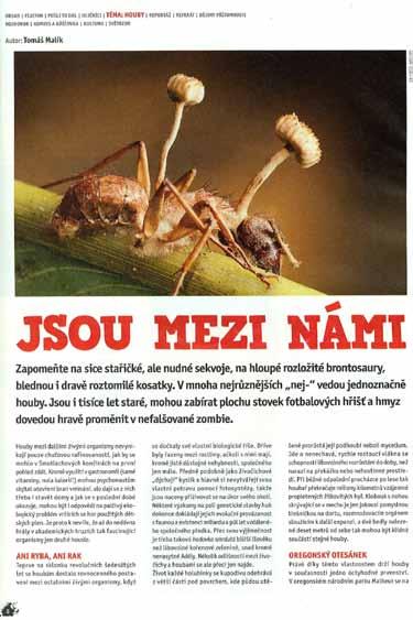 dýchají i rostliny všechny výzkumy řadí houby a živočichy do společné říše Opistokonta překážky