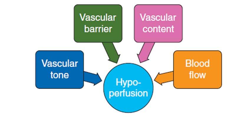 B) Hemodynamické cíle - vazopresory Timing of vasopressors matters Arterial filling volume Kapacita/náplň =