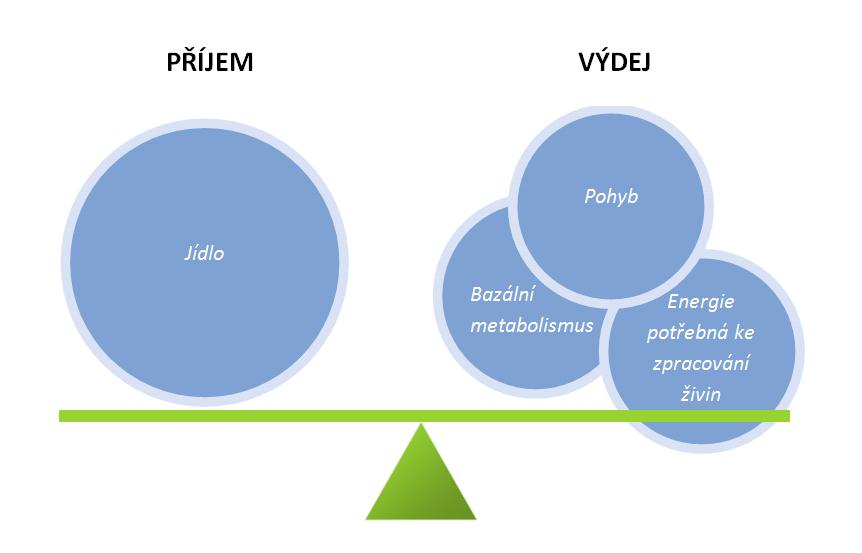 Příjem versus výdej energie Pozitivní energetická bilance = příjem přibývání