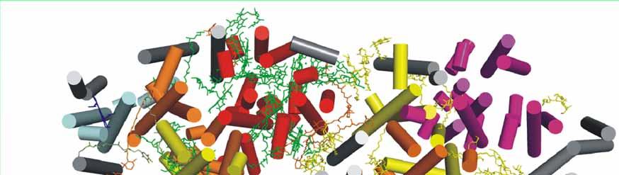 Struktura fotosystému II z Thermosynechococcus elongatus s rozlišením 3.0 Å (Kern et al.