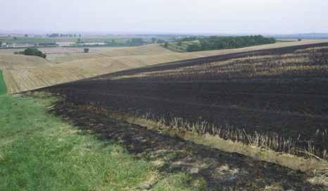 organické složky půdy GAEC 4 Při kontrole na místě bude hodnocena skutečně vypálená plocha nikoli plocha celého půdního bloku nebo jeho dílu.