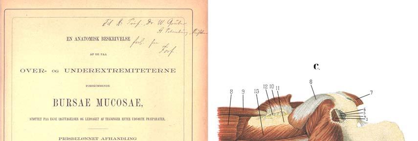Obr. 8 Titulní stránka Synnestvedovy monografie z roku 1869 a příklad zobrazení tihového váčku na rameni 3: bursa subscapularis, 12: bursa subtendinea musculi teretis majoris Celou práci uvádí obecně