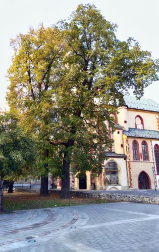 50/1976 Zb. o územnom plánovaní a stavebnom poriadku v znení neskorších predpisov Zákon č. 135/1961 Z. z. o pozemných komunikáciách v znení neskorších predpisov <http://www.venkovskazelen.