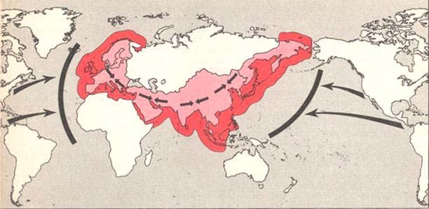 The Geography