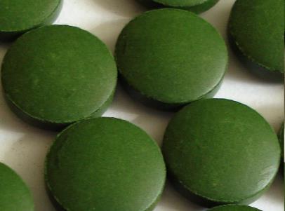 chlorella