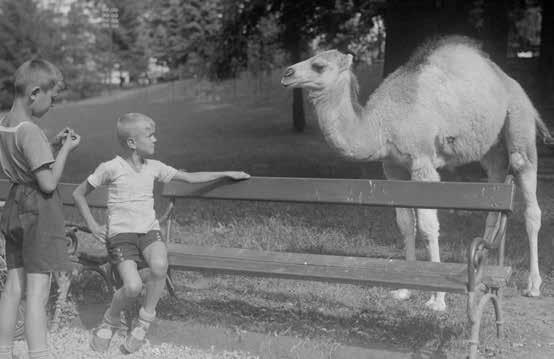Dívka na koupališti (1939). 2. Zlíňané dodnes milují odpočinek v parcích.