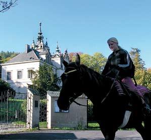 cyklisty a pro in-line bruslení. Ve městě je též široká nabídka sportovních areálů a zařízení.