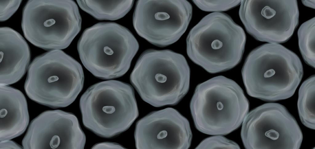 Léčba jako prevence Nezjistitelná virová nálož zabraňuje přenosu V současné době už existuje dost důkazů, že riziko přenosu viru HIV z pozitivní osoby na anti-retrovirové léčbě s nulovou virovou