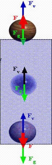 F g > F vz F g = F vz F g < F vz Zajímavý je poslední případ, tedy Fg < Fvz. Na čem závisí, jak moc se těleso vynoří nad hladinu?