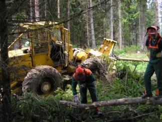 hospodárstve, v pestovnej a ťažbovej činnosti. Sú spôsobilí pracovať so všetkými druhmi mechanizačných prostriedkov používaných v lesnom hospodárstve.