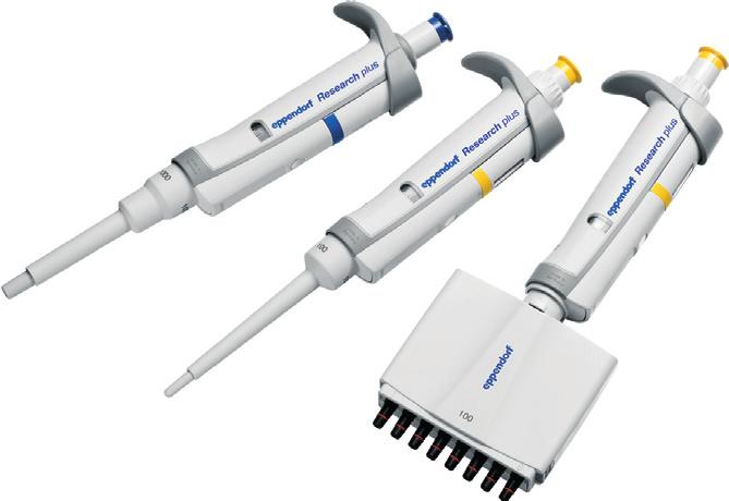 zeearch bsluze S) plus Register your