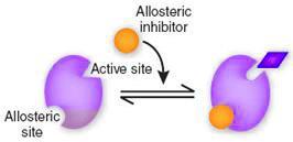 Alosterický aktivátor usnadňuje vazbu substrátu posun saturační křivky k nižším koncentracím substrátu saturační křivka méně sigmoidní, při vysoké