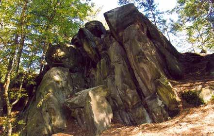 Foto 4: Pískovcové skalní útvary na hřbetu Kostelec u Bílé Třemešné (k