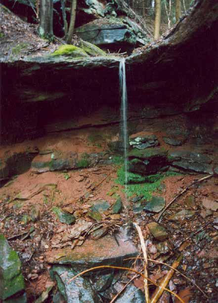 Foto 12: Převisový Havlovický vodopád na tenké desce permských pískovců (k článku na str. 27). Foto 5 12 V. Pilous.