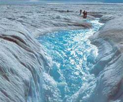 Tání polárních ledovců Tání Grónského ledovce snížilo jeho hmotu o 150-250 km 3 a
