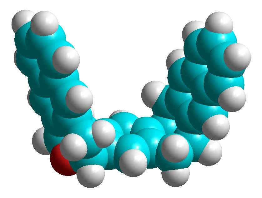 Rigid Molecular