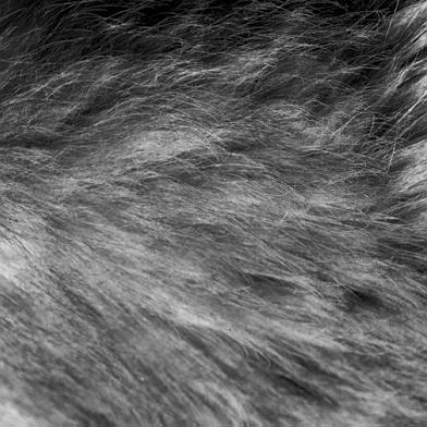 Textura
