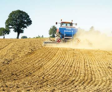 6) registrace ČR 206 polopozdní Ogu-INRA hybrid v ČR zaregistrován na základě extrémně vysokých výnosů, ale zároveň i díky pozitivním agrotechnickým vlastnostem středně vysoký až vyšší habitus