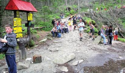 V prírode sa ale odohrávajú aj záujmové aktivity rôzne hry a súťaže, ktorých cieľom je, aby účastníci tábora čím viac spoznali vybrané časti Letný tábor prežijú deti s mnohými