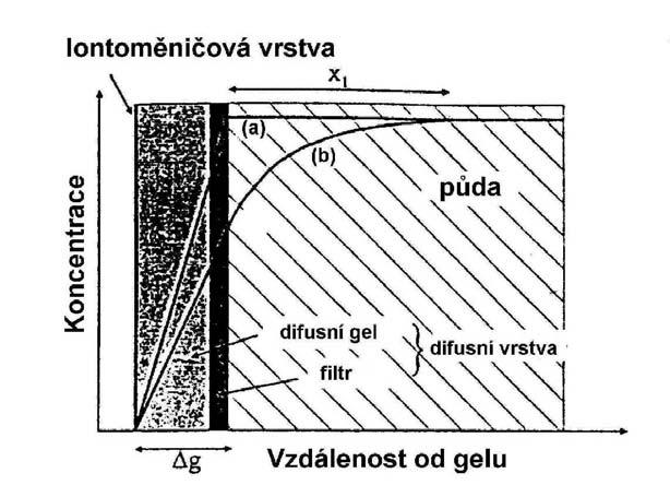 Obr. 5 Schematické zobrazení koncentračního gradientu iontů v gelu DGT a v pórové vodě v blízkosti sondy DGT pro případ: a dokonale, b nedostatečně pufrovaného roztoku pórové vody Obr.