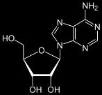 Dopamin Noradrenalin Adrenalin Serotonin Acetylcholin