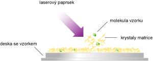 je zde větší mnoţství, vzorek tak zasychá pomaleji a správně krystalizuje. DHB dobře ionizuje peptidy, proteiny, lipidy, nukleové kyseliny a sacharidy, je proto povaţována za univerzální matrici.