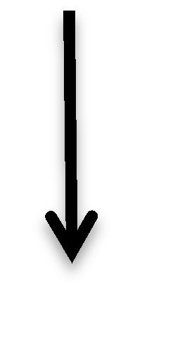 Jednoduchým píkldem pro () je ástice v homogenním grvitním poli (volb krtézských soudnic n obrázku): y g x b m S = ( x + y + z ) m g y d t (3) V obecné teorii reltivity je zákldním funkcionálem pro