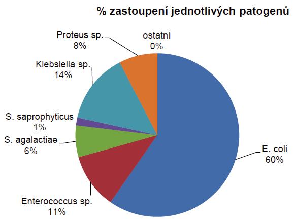 Jedná se s velkou pravděpodobností o kmeny donesené pacienty z nemocnic v regionu.