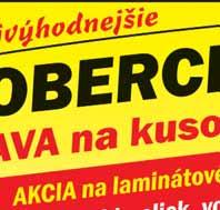 E-mail:michalovce@branyhormann.