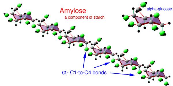 Amylosa a Amylopektin Obr.6. Struktura Amylosy a Amylopektinu 16 Většina nativních škrobů je směsí amylosy a amylopektinu, dvou homopolysacharidů složených z molekul α-d-glukopyranosy (obr. 6).
