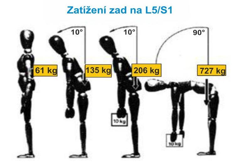 Obrázek 3.7: Zatížení zad na L5/S1 28 3.2.7 Snook/Ciriello Snook/Ciriello je metoda zabývající se hodnocením ruční manipulace s břemeny jako je tažení, tlačení, zdvihání, spouštění či nošení.
