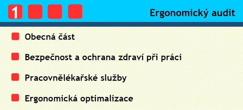 4.2 Auditový dotazník Pro sběr dat byla zvolena kombinace dvou metod auditu, standardizovaného rozhovoru společně s polostrukturovaných dotazníkem.