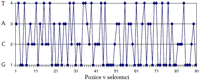 Obrázek 17. Zobrazení metodou Spektrum like prvního exonu genu pro lidský β-globin pomocí čtyř horizontálních čar. [8] 4.5.