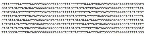 Ukázka lineárního zápisu krátkého úseku genomické sekvence lidského chromozomu Y (sekvence NT_167199.1[2]) ve formátu FASTA (viz Obrázek 1)