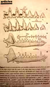 Cr 1 Yixian Formation, China, 125 My BP Nejstarší doklad EUTHERIA: