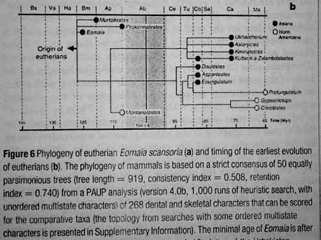 .nejstarší vačnatec An Early Cretaceous Tribosphenic Mammal and