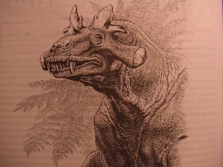 This list of autapomorphies takes into consideration the recent discovery of Tetraceratops, the oldest
