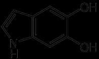 Melaniny Tmavohnědý eumelanin a rezavě zbarvený feomelanin Eumelanin - vysoce heterogenní polymer DHI (5,6-dihydroxyindole) a DHICA (5,6-dihydroxyindole-2-carboxylic acid) jednotek v redukovaném nebo