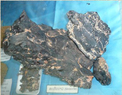 dvojčata, každý váží přibližně 24 Kg (ve sbírce P. Boonmana v Bangkoku v Thajsku (foto L.