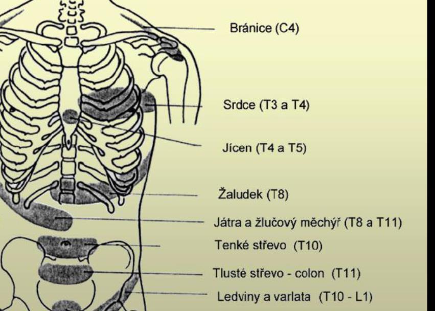 Headovy zóny C3-4: onemocnění bránice Th1-9: plicní choroby Th2-6 vlevo + n.