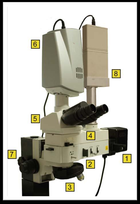 EXPERIMENTÁLNÍ APARATURA Úprava experimentální aparatury doplnění spektrofotometru Mikroskop NIKON ECLIPSE LV150 1) halogenová lampa 2) Köhlerův osvětlovač 3) karusel pro objektivy 4) přídavný modul