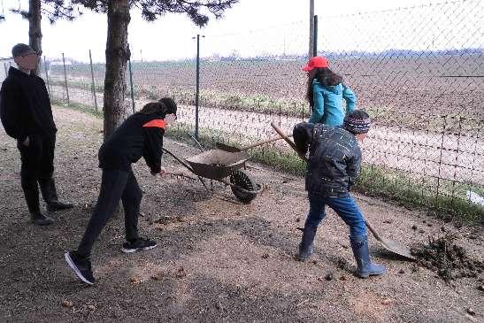 Minifarma my a naši zvířecí kamarádi Minifarma je takové malé hospodářství našeho školského zařízení, na kterém se učíme kamarádit se zvířaty.