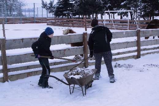 Minifarma život na naší minifarmě PRÁCE NA MINIFARMĚ Venčení minikoziček K pravidelným činnostem během pobytu v SVP patří i práce na minifarmě.