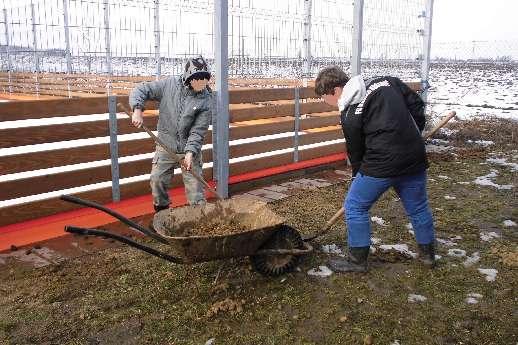 Největší zábavou, při které jsou zapojeny všechny děti ze skupiny, je venčení čtyř zdejších minikoziček - Olívie, Amálky, Julči a Verči. Foto : Chlapci z SVP při úklidu zasněženého výběhu.