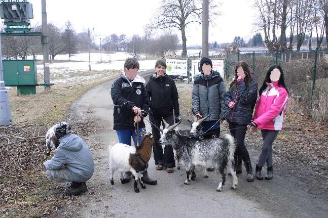 Sami přijdou na to, že mytí nádobí je oproti práci na farmě úplná hračka, a po návratu domů je rodiče nepoznávají. Foto : Děti z SVP při venčení pod dohledem paní vychovatelky Aničky.