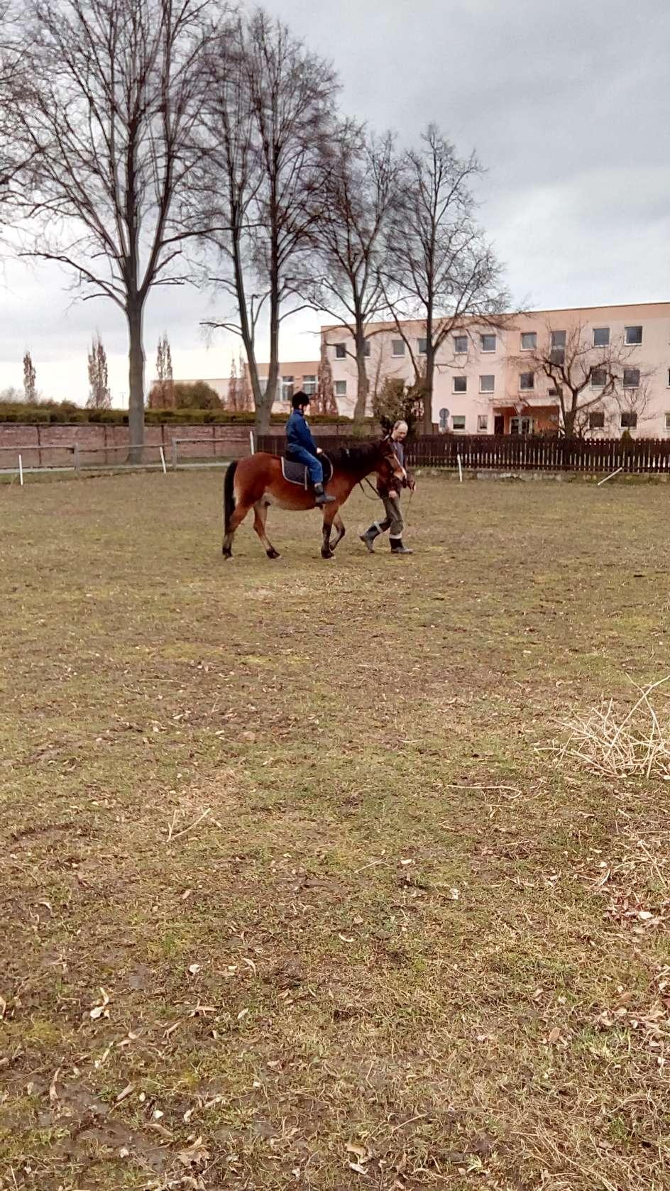 Vyčistit srst však po chvilce bez potíží zvládnou i mladší děti z 1. skupiny SVP.