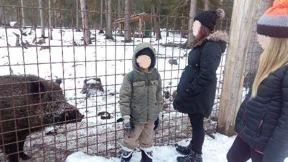 Nachází se zde totiž jediný pořádný hradecký svah, na kterém se dá bobovat. Foto : Děti z SVP u výběhu s divokými prasaty.