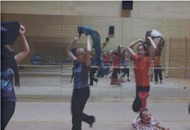 (2006).