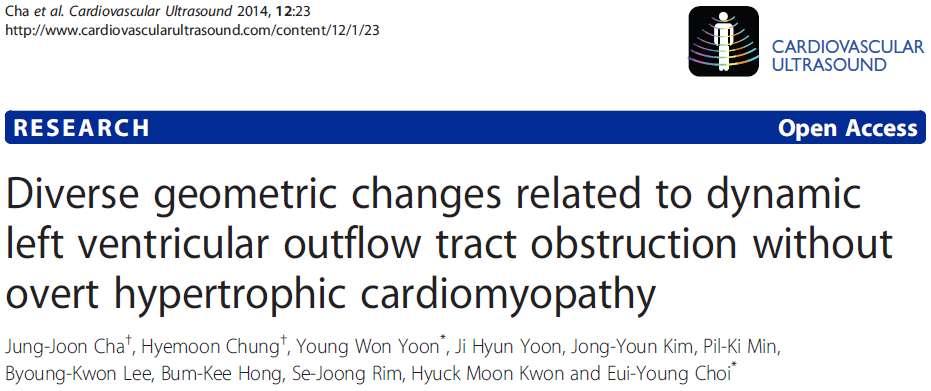 Am J Cardiol 2012) Septum sigmoideum angulace